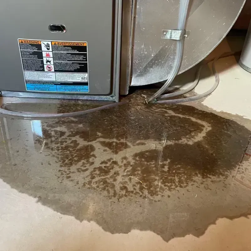 Appliance Leak Cleanup in Cole County, MO